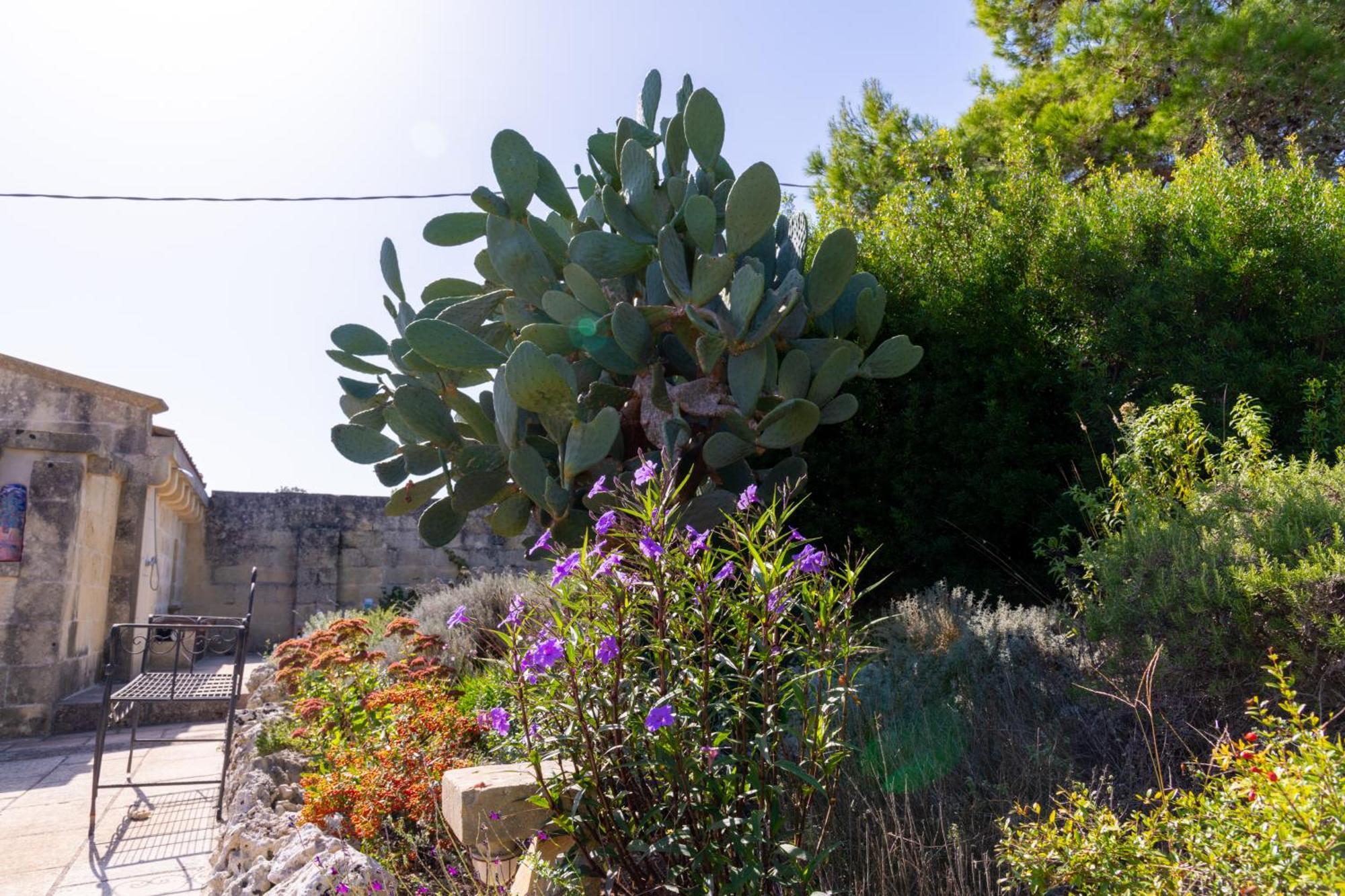 Masseria Caliani Борганье Экстерьер фото